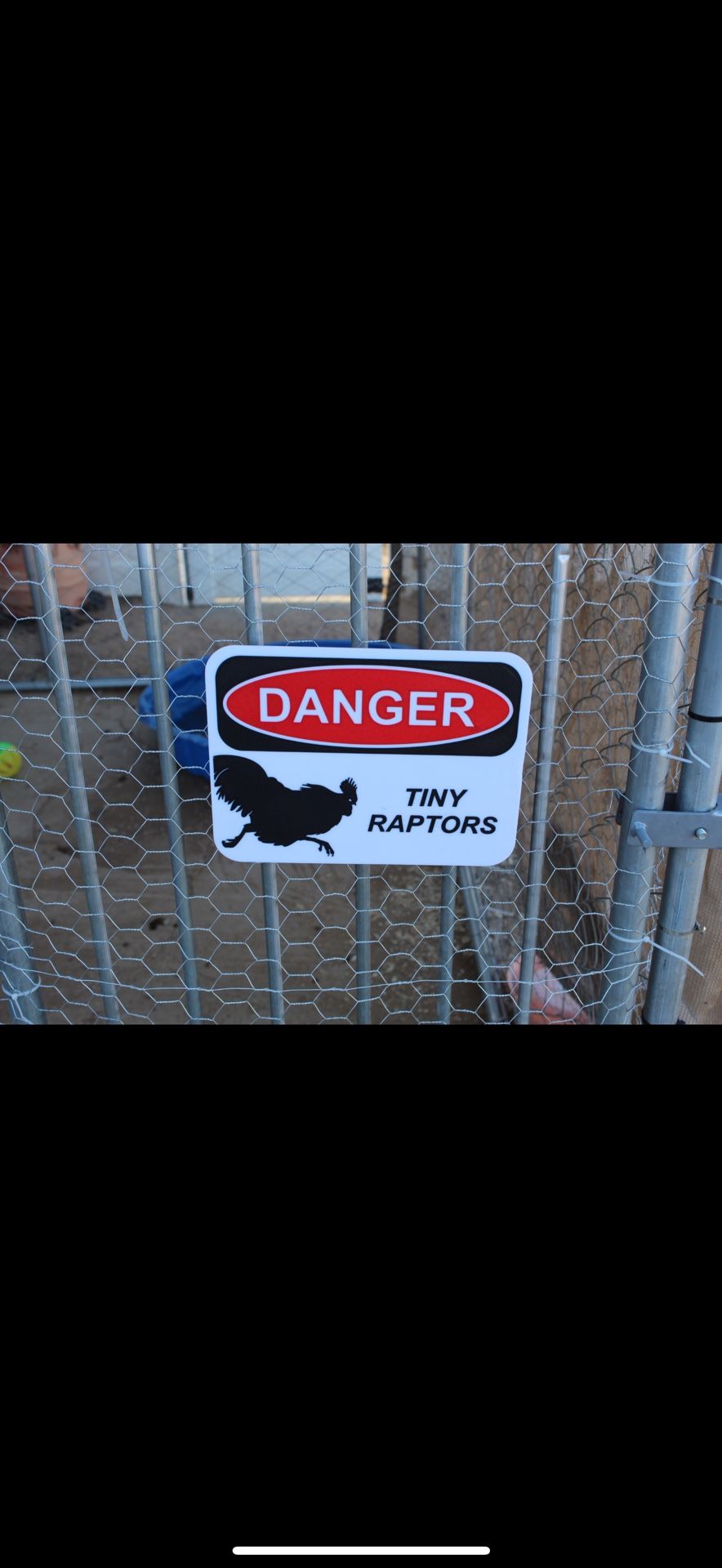 Chicken Sign