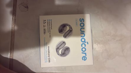 Earphones