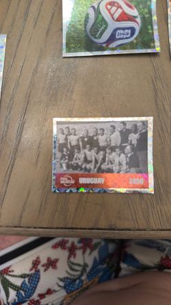FIFA panini card