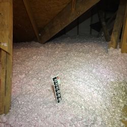 Insulation 