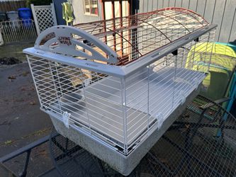 Guinea Pig Cage Free