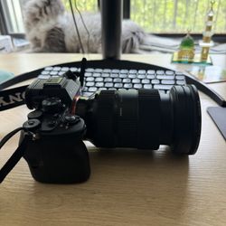 Sony a7iv and sigma 24-70mm f2.8 