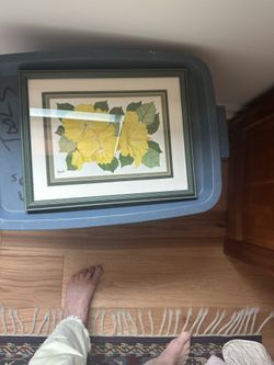 2 box original water colors by Robert Taylor of Hawaii and CA