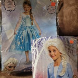 Elsa Costume