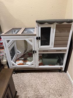 Bunny cage