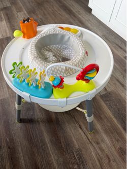 Skip Hop Explore & More Activity Center