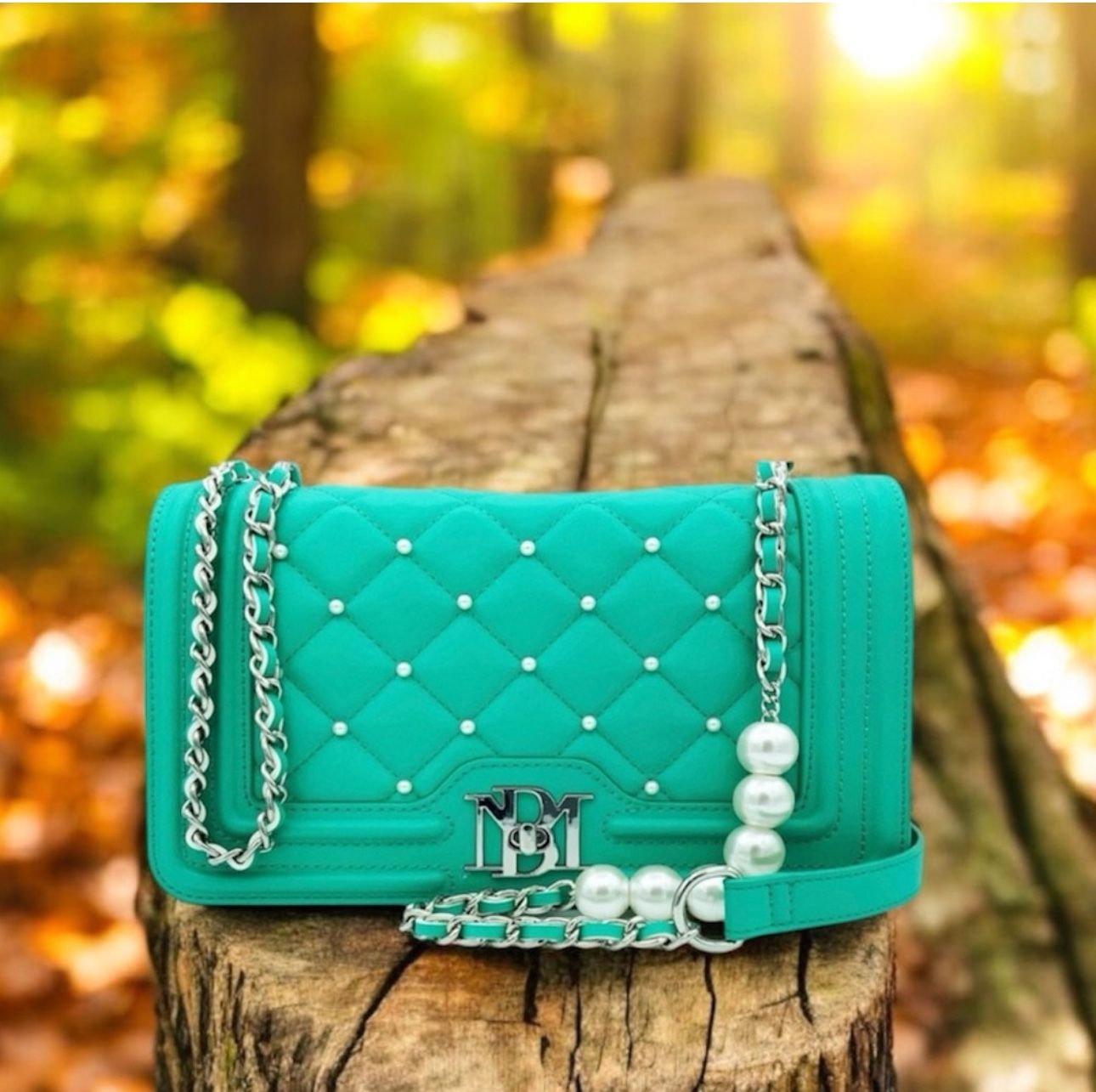 Badgley Mischka Quilted Crossbody Bag. New With Tag 