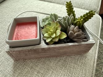 Suc-cute-lent Scentsy Warmer