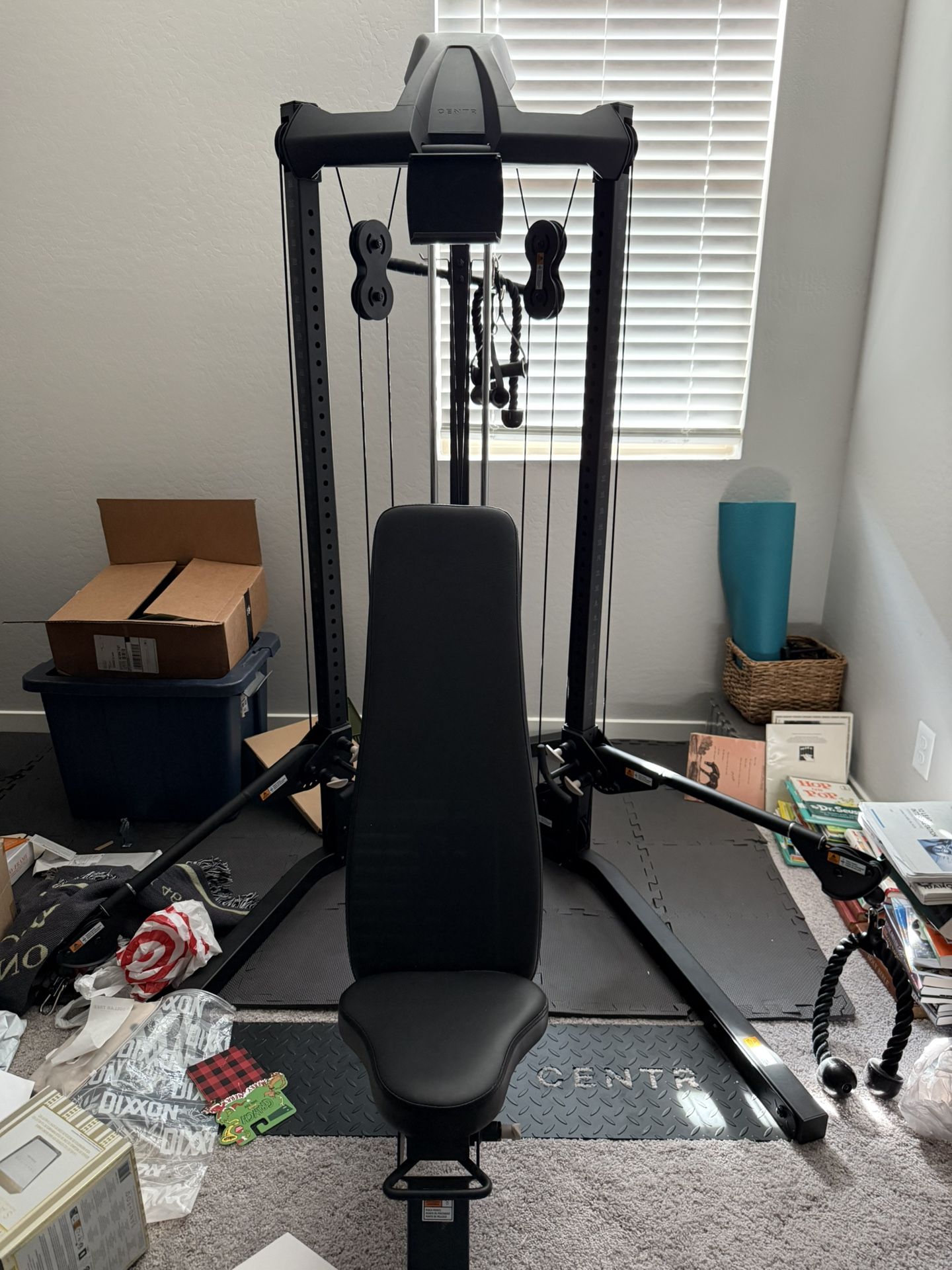 Centr Workout Station