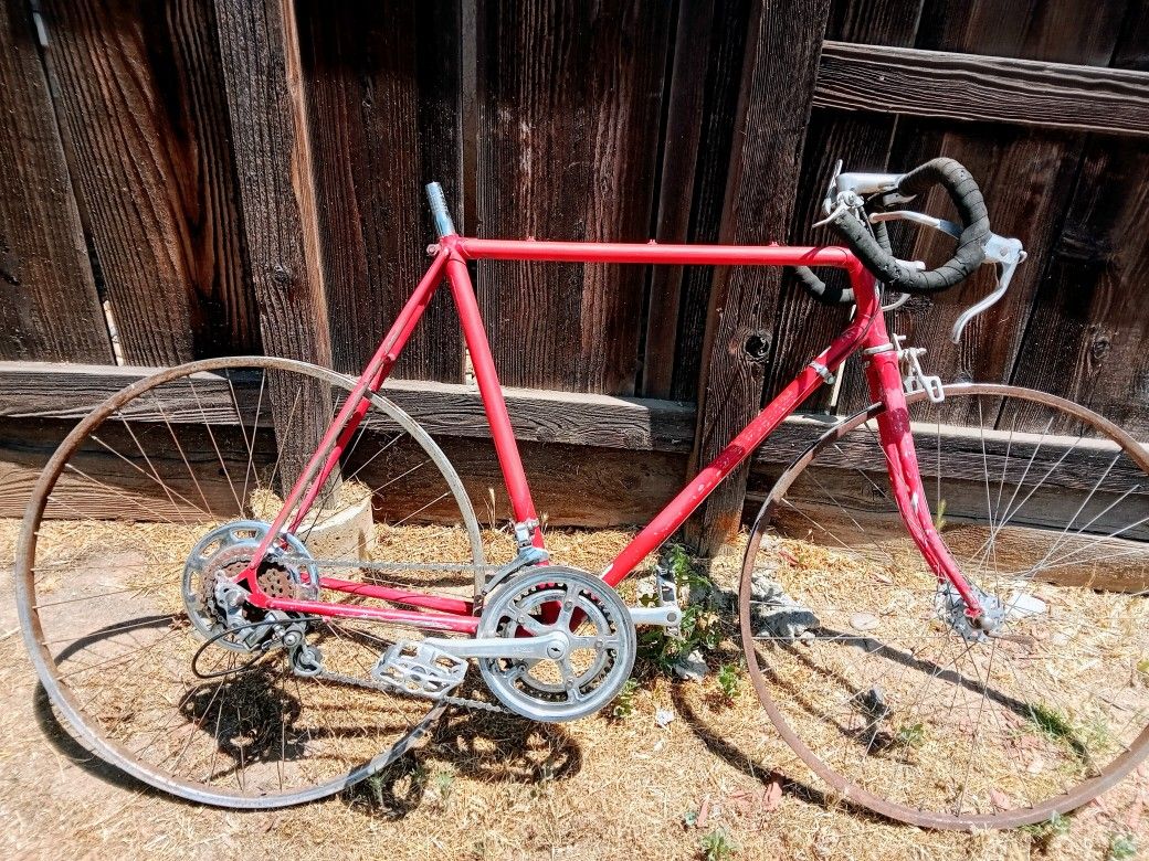 Schwinn 10 Speed Just Needs Tires And Seat