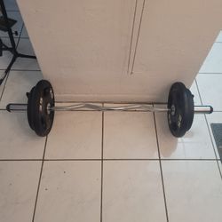 Rouge Weights Including Curl Bar