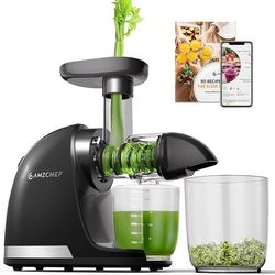 AMZCHEF Cold Press Juicer