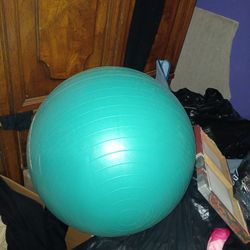 Pelota Para Hacer Ejercicio $8mission