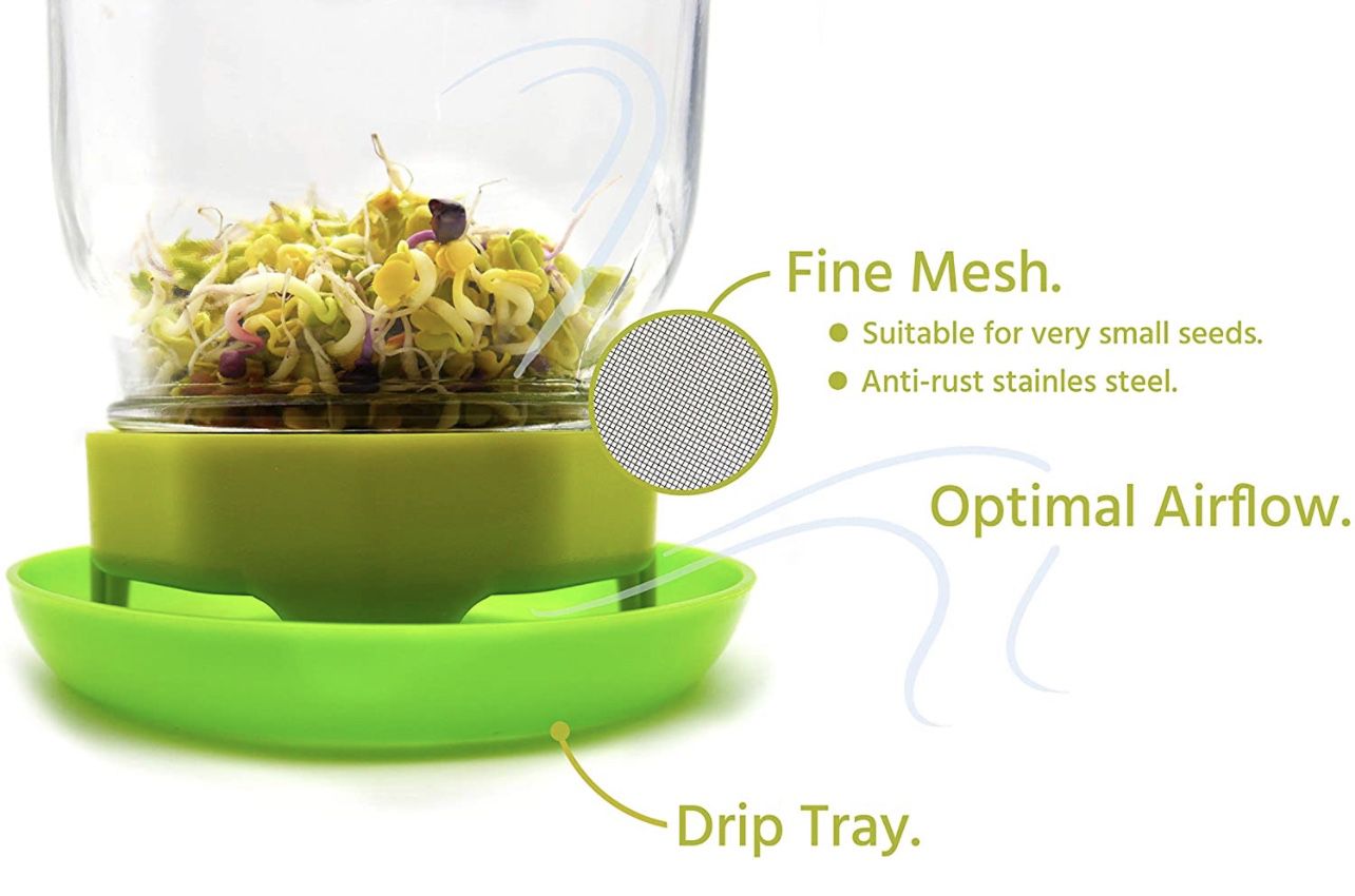 Sprouting Jar Kit Seed Sprouter Set Includes Wide Mouth Mason Jar, Stainless Steel Mesh Lid