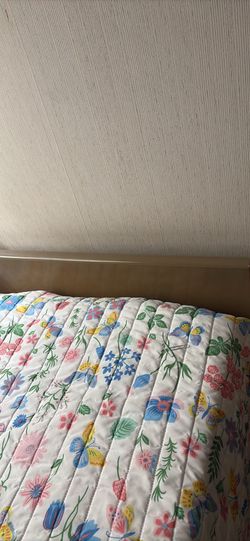 Free older hospital bed