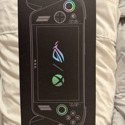 Xbox Ally X