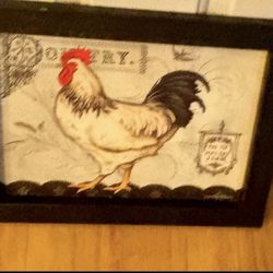 🐓 Rooster Picture 