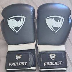 Pro Boxing gloves