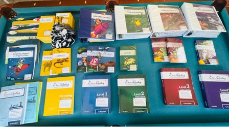 ALL ABOUT READING COMPLETE CURRICULUM PRE-READING–LEVEL 4 + SPELLING + BOARD + ZIGGY | $1,000+ VALUE