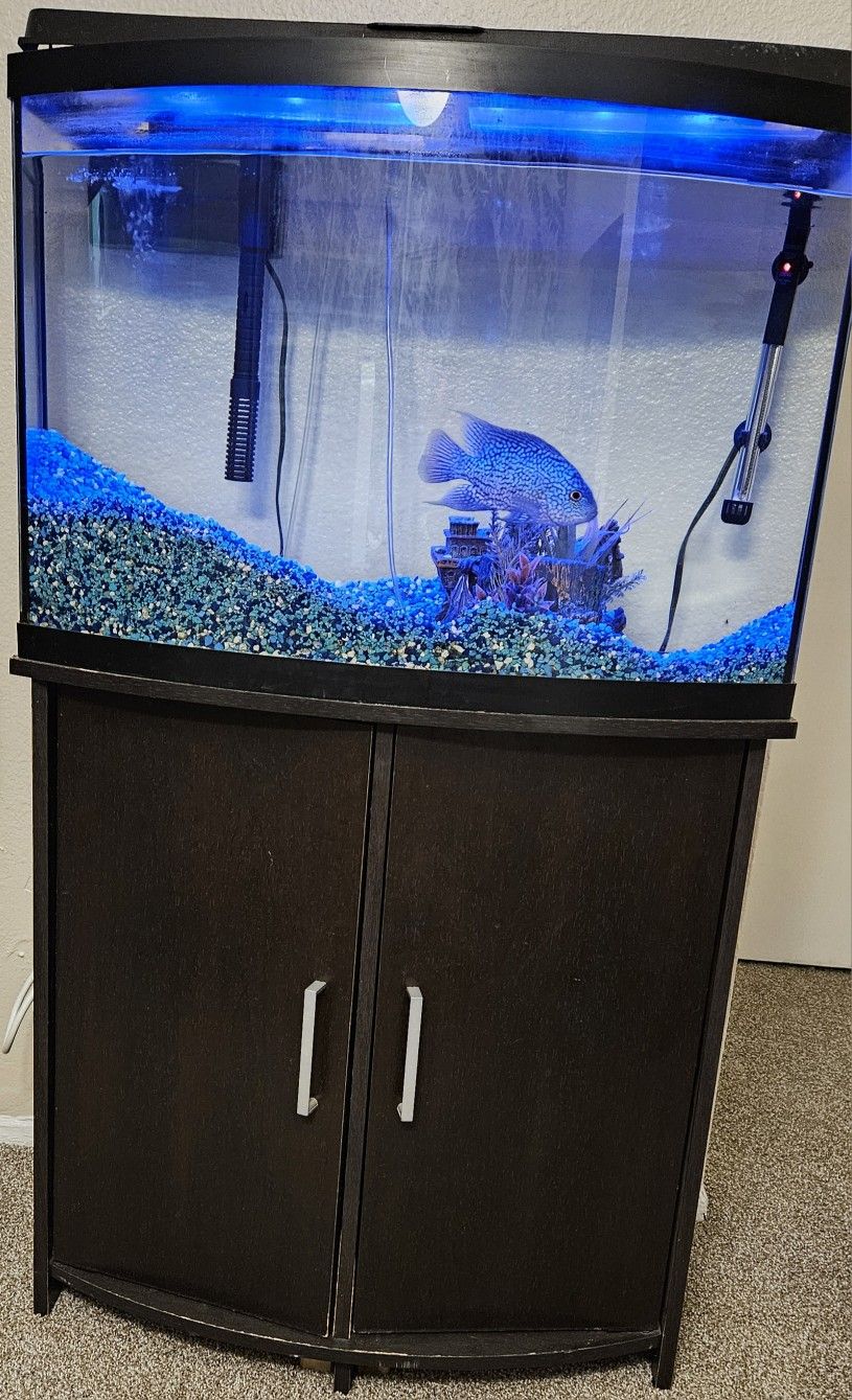 36 Gallon Aquarium 