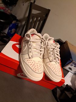 Nike Dunk Low Retro SE