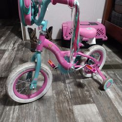 Toddler Girls Bike 