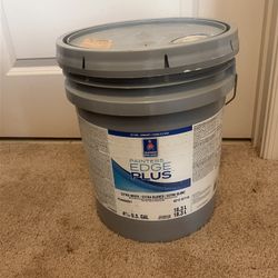 EXTRA WHITE PAINT 