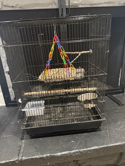 Bird cage
