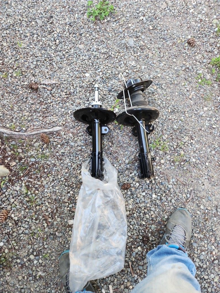 Struts Dodge, Caravan