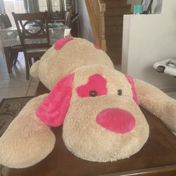 Over Sized Teddy Bear