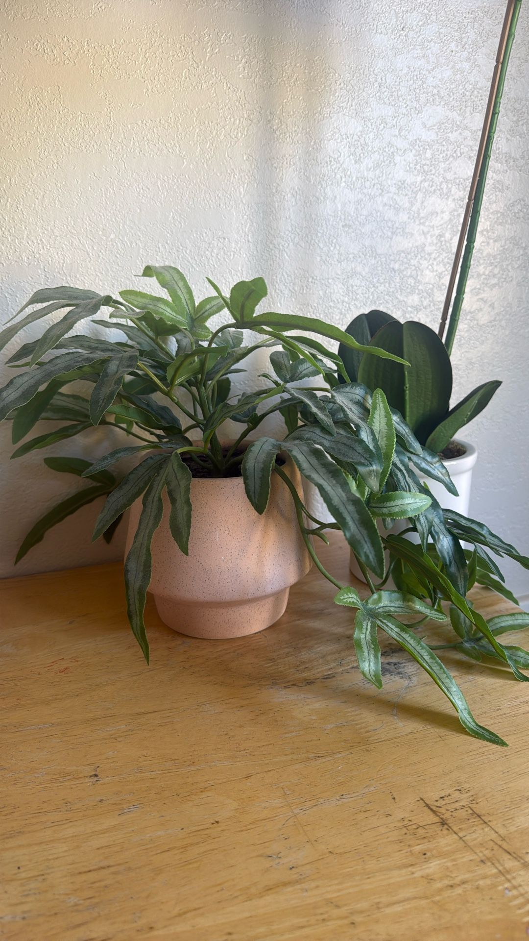 Fake Plants