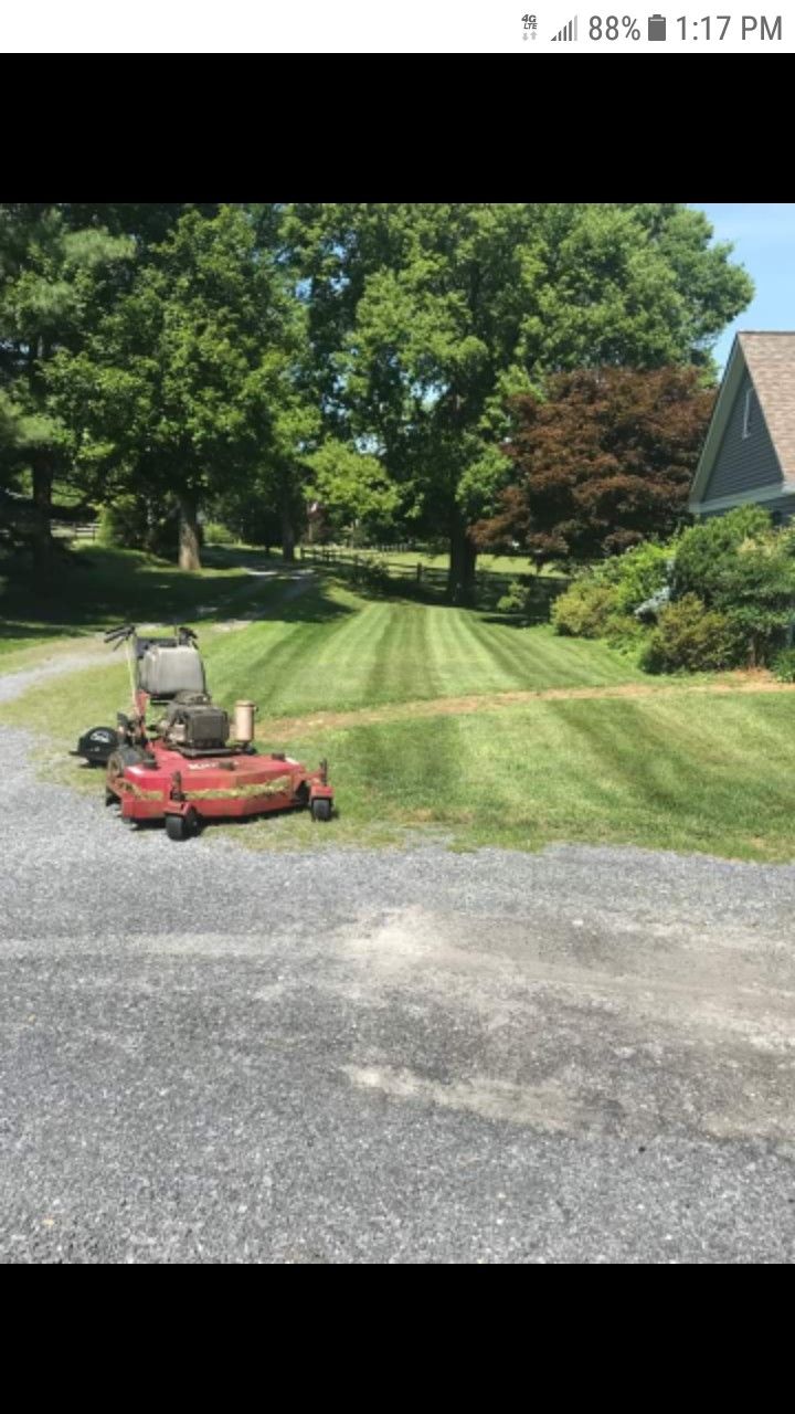 Grass cut