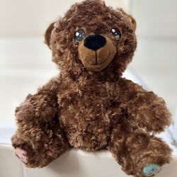 Valentine’s Day Teddy Bear