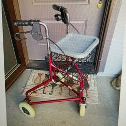 We Will Walk Her With Basket And Lunch Tray Cash Only Please