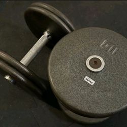 IVANKO BARBELL COMPANY PRO DUMBBELLS: HAMMERTONE; 40 LB PAIR 