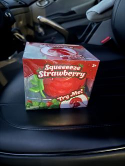 Strawberry squishy