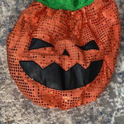 Pumpkin Costume For Large Dog