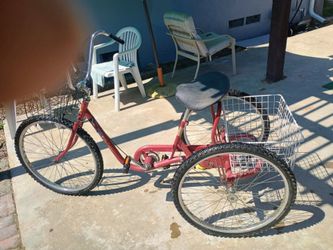 3 Speed Adult Trike
