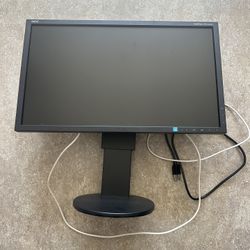 Computer Monitor 