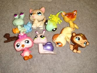 LPS 8