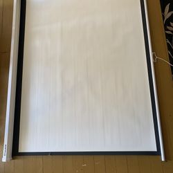 Projection Screen with mounts