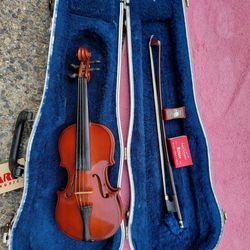 Small Parrot Violin And Case