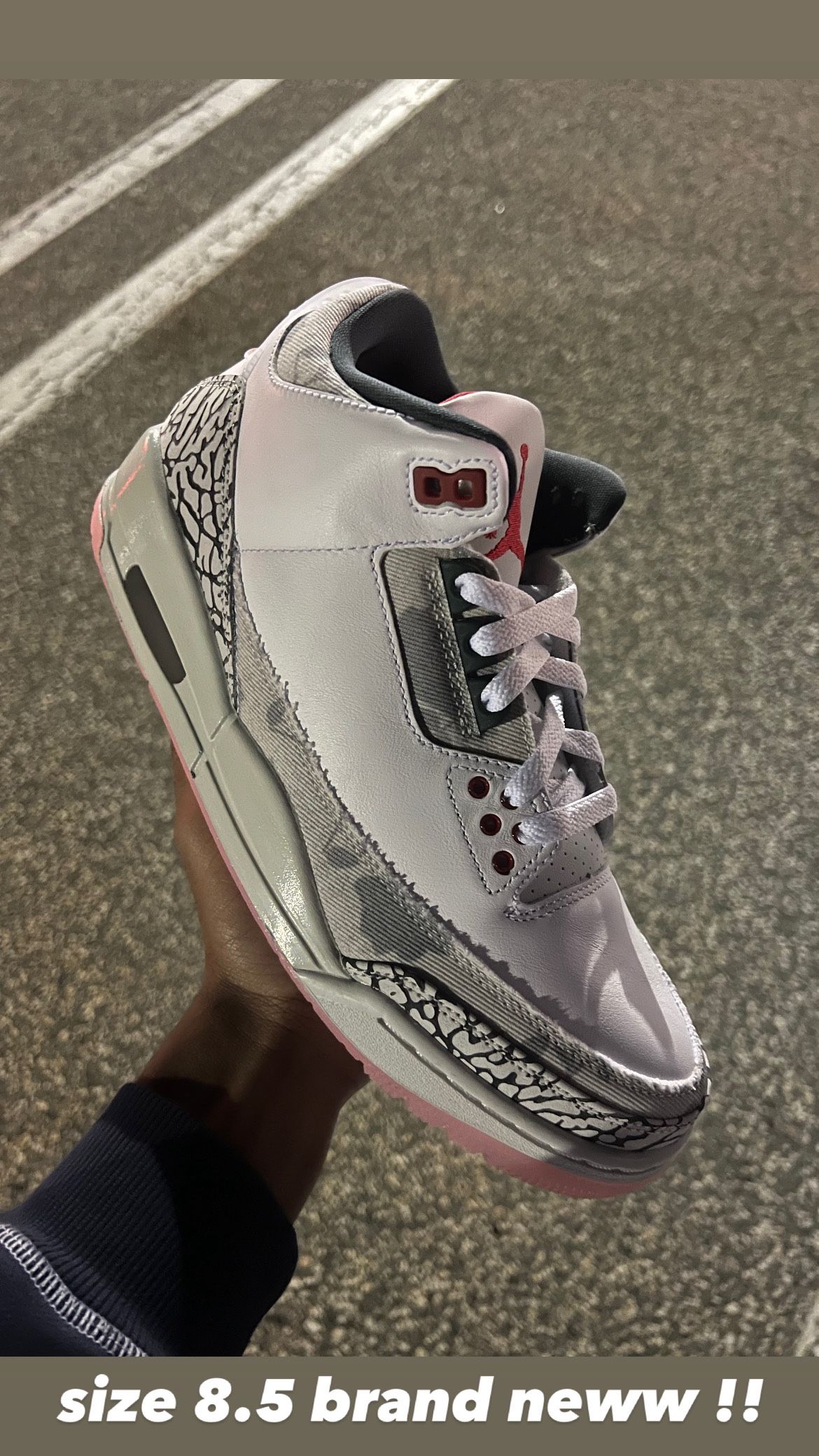 wings jordan 3