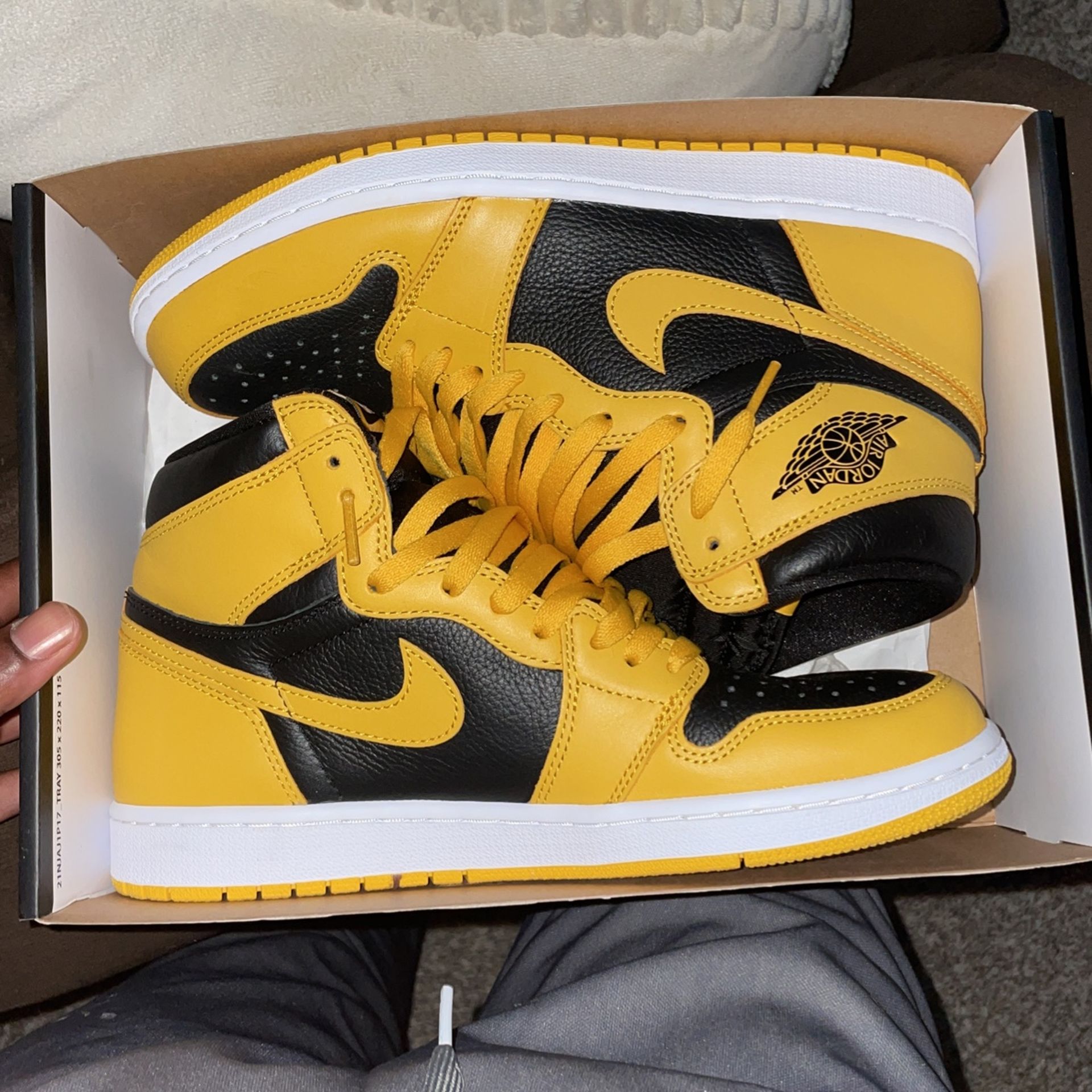 Jordan Pollen 1 Size 9.5