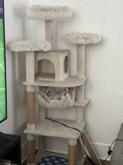 Cat tower and supplies