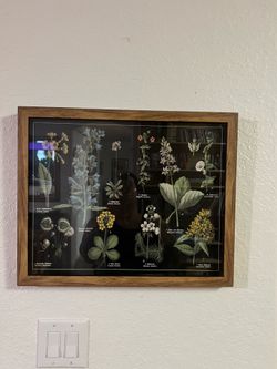 Botanical Art Frame