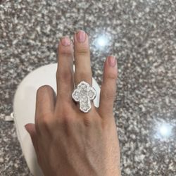 Diamond Test Approved Moissanite VVS1 925 Silver Ring