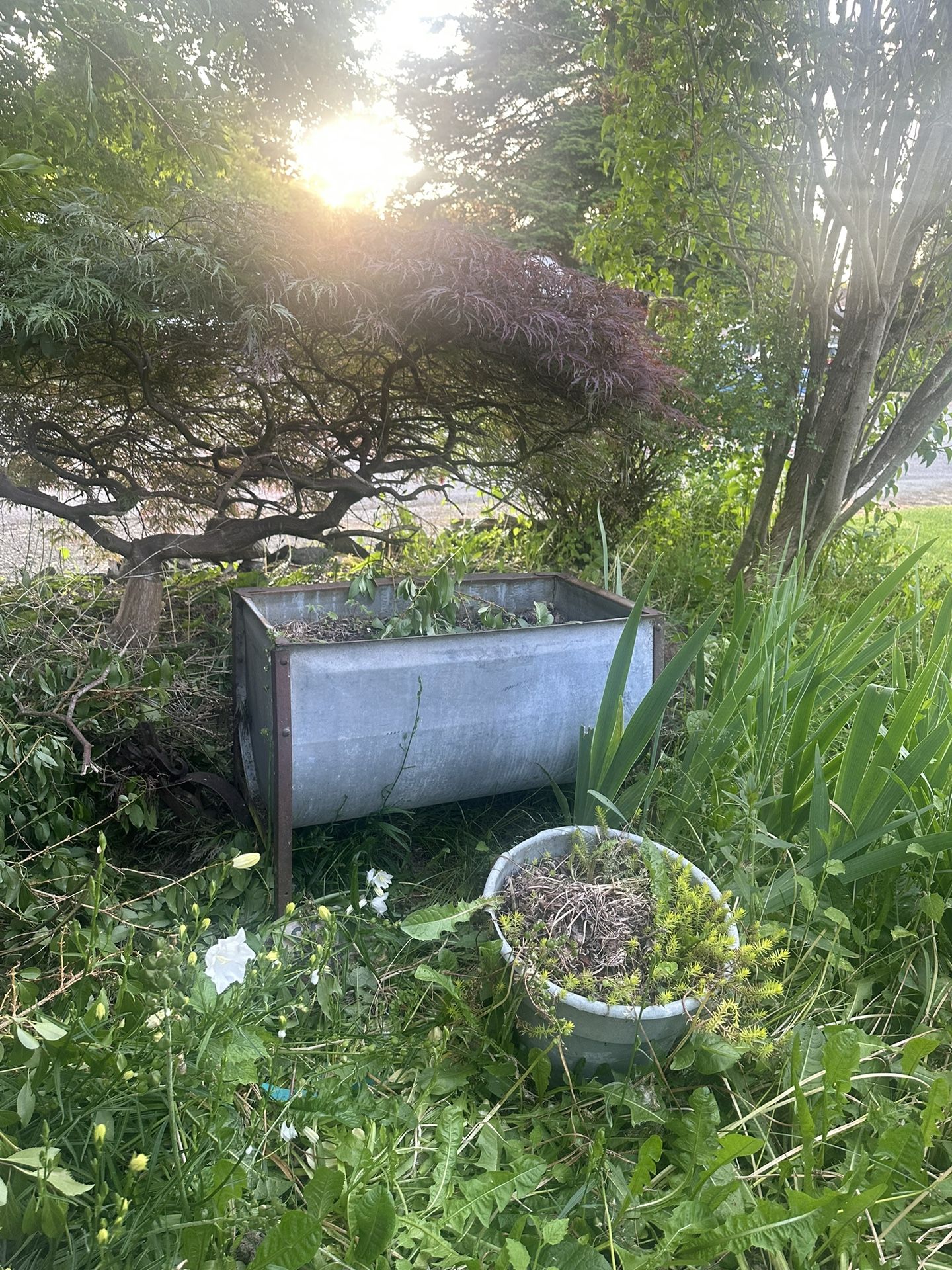 Galvanized Large Tub
