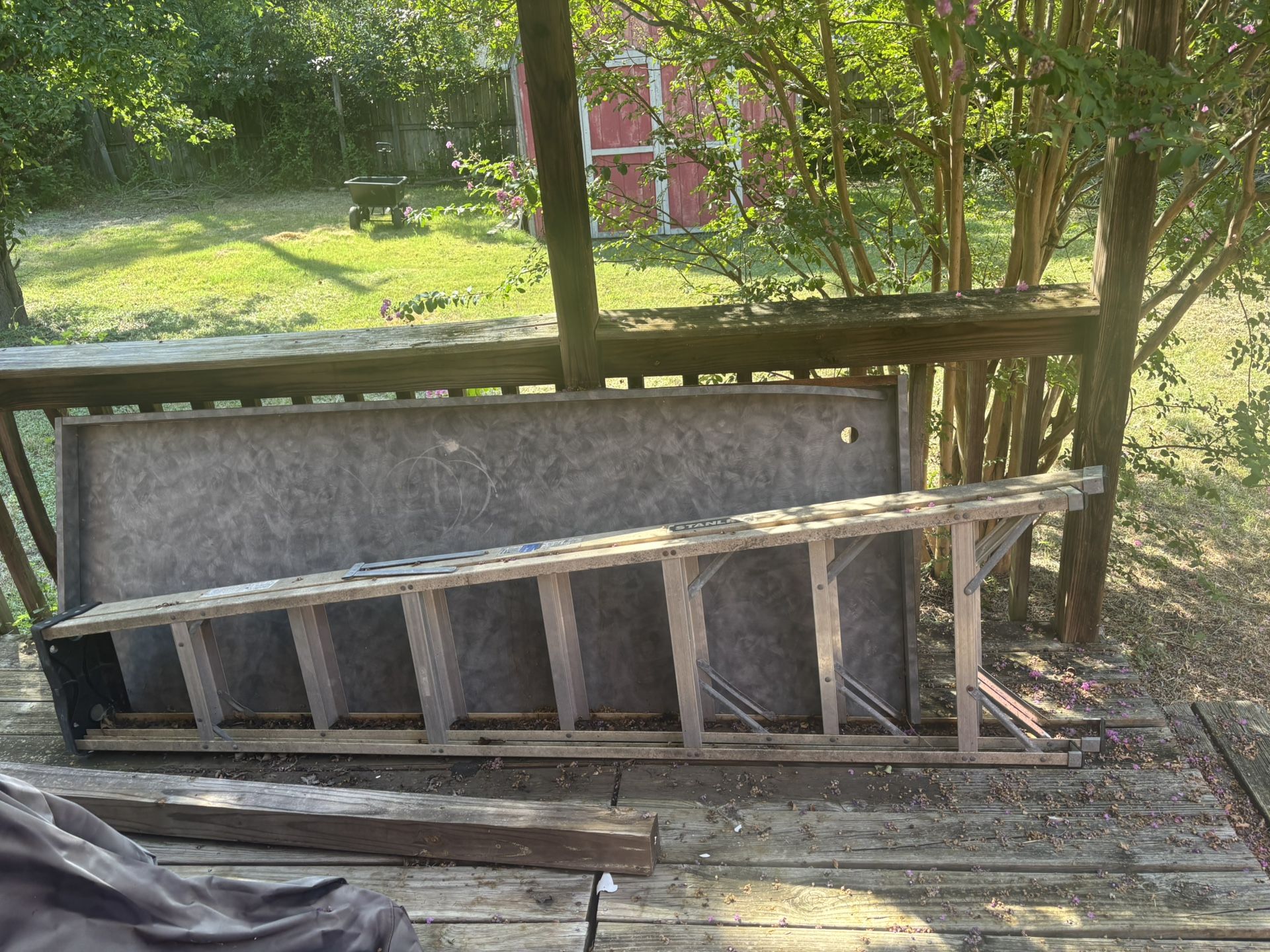 Ladder