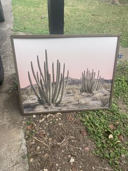 Beautiful Cactus Art Piece - Large! Framed